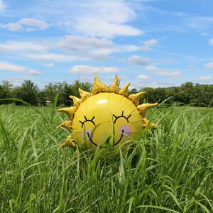 CCBHC Power(ful) Walkers